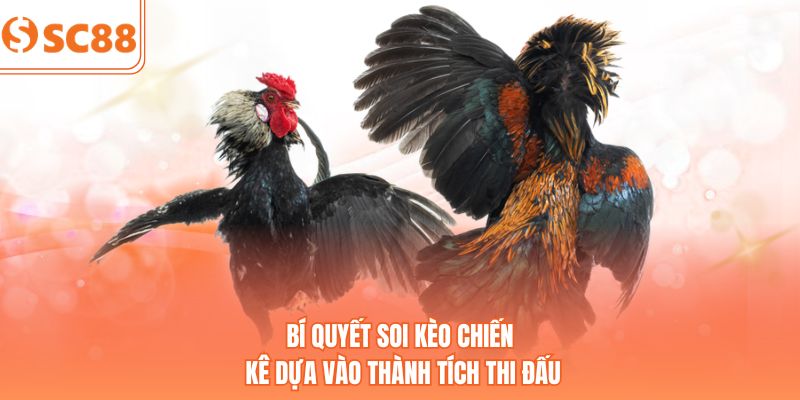 Bí quyết soi kèo chiến kê dựa vào thành tích thi đấu