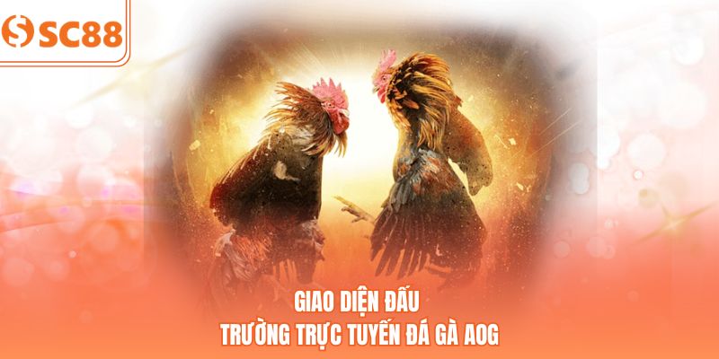 Giao diện đấu trường trực tuyến đá gà AOG