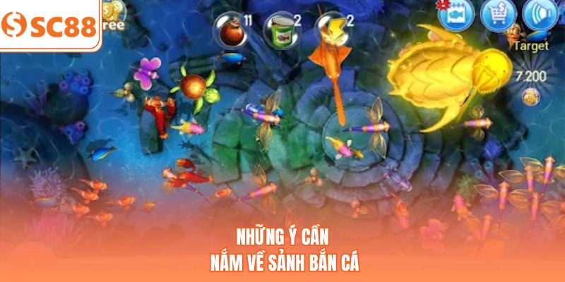 Những ý cần nắm về sảnh bắn cá
