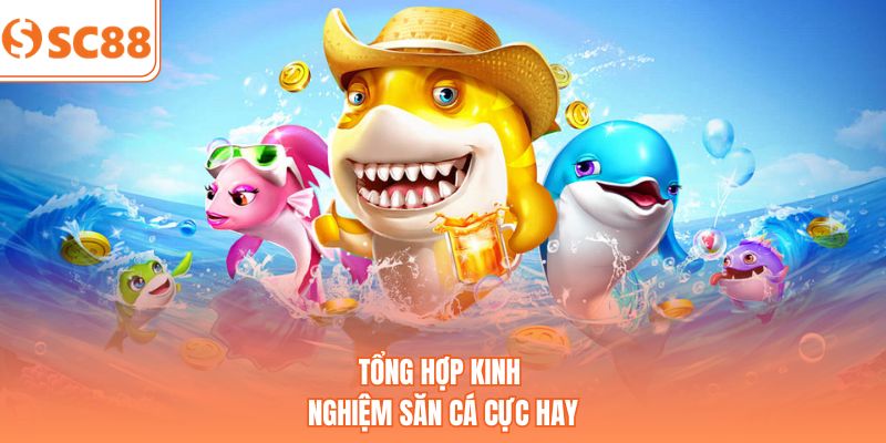 Tổng hợp kinh nghiệm săn cá cực hay