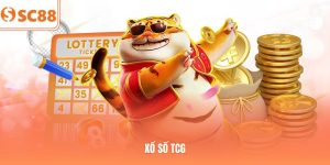 Xổ Số TCG | Dự Đoán Kết Quả Nhanh, Nhận Thưởng Dễ Dàng 